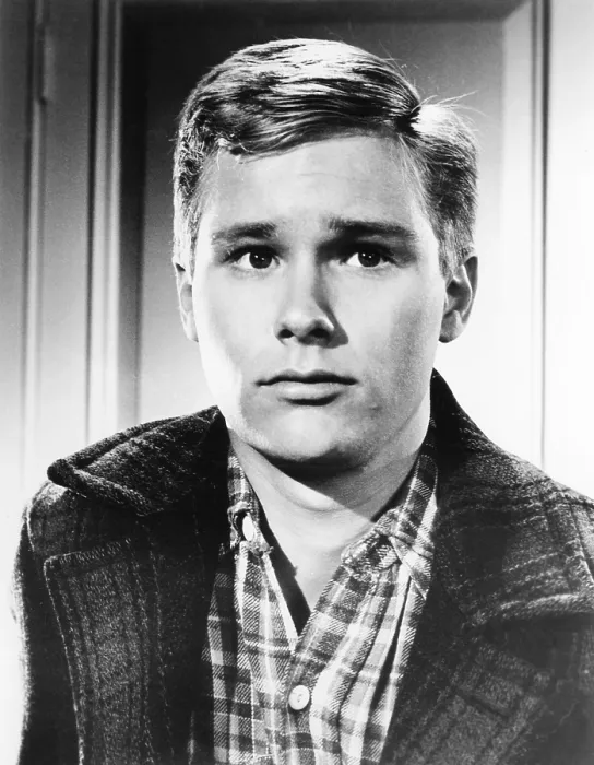 Framed Print : ALL FALL DOWN, Brandon De Wilde, 1962