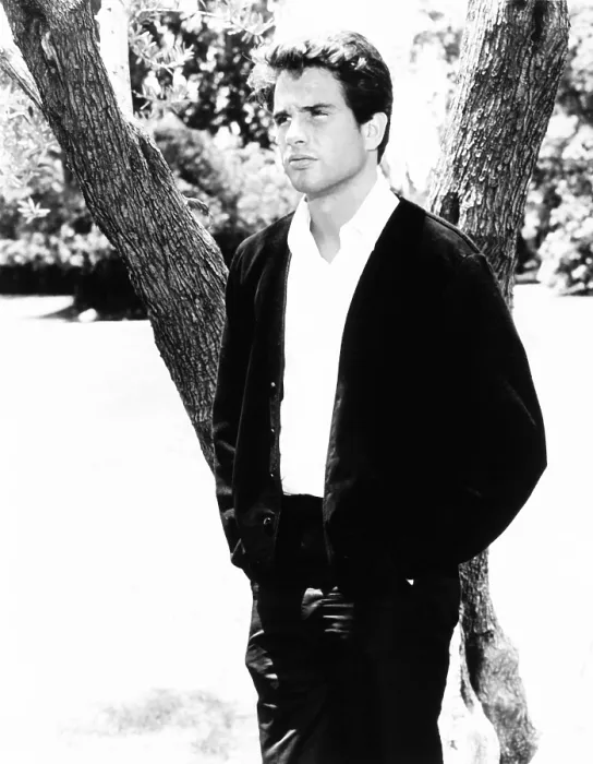Framed Print : ALL FALL DOWN, Warren Beatty, 1962