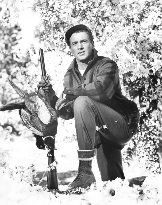 Framed Print : ALL THAT HEAVEN ALLOWS, Rock Hudson, 1955