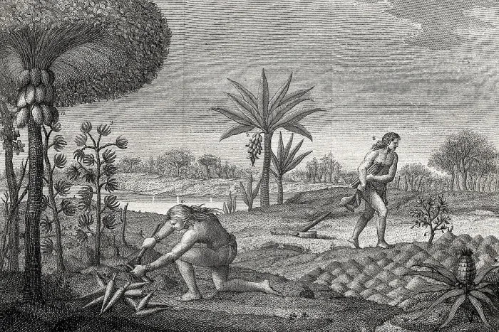 Framed Print : America (18th c.). Growings of the Indians of the basins of Orinoco and Amazon rivers. Italian engraving of 1780. Etching. AISA / Everett Collection (18330)**US SALES ONLY** Framed Print : America (18th c.). Growings of the Indians of the basins of Orinoco and Amazon rivers. Italian engraving of 1780. Etching. AISA / Everett Collection (18330)**US SALES ONLY**