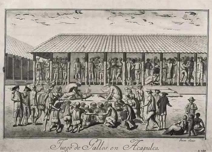 Framed Print : America. Expedition of Malaspina (1789-1794). Viceroyalty of Mexico. Cock fightings in Acapulco. Drawing by TomAs de Suria. Drawing. SPAIN. Madrid. America's Museum. - J