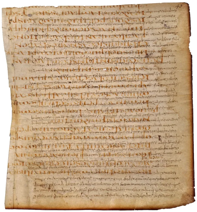 Framed Print : Ancient fragments of Lucan, Pelagonio and other texts, by Unknown Artist, 11th Century - Italy, Campania, Naples, National Library Vittorio Emanuele the 3rd. Whole artwork view