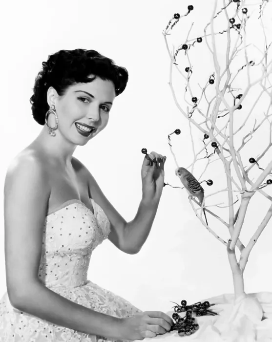 Framed Print : Ann Miller, decorating her Christmas tree, ca. early 1950s