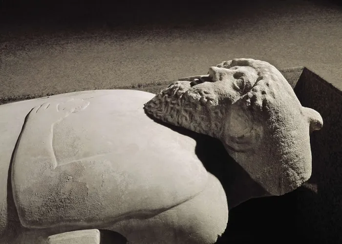 Framed Print : Anthropoid Sarcophagus. 4th c. BC. Detail. Phoenician art. Sculpture. SPAIN. Cdiz. Cadiz Provincial Museum. Proc: SPAIN. Cdiz. AISA / Everett Collection**US SALES ONLY**
