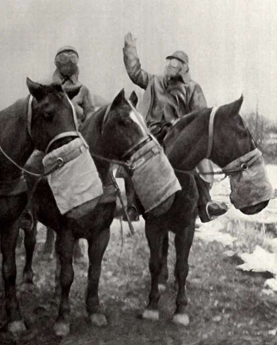 Framed Print : Anti-gas nose bag for French army horses in WW1. 1917. The animals accepted the peculiar nose-bag, perhaps anticipating it would later be filled with oats or other food Framed Print : Anti-gas nose bag for French army horses in WW1. 1917. The animals accepted the peculiar nose-bag, perhaps anticipating it would later be filled with oats or other food