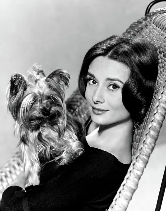 Framed Print : Audrey Hepburn in a publicity still taken around time of THE NUN'S STORY, 1959