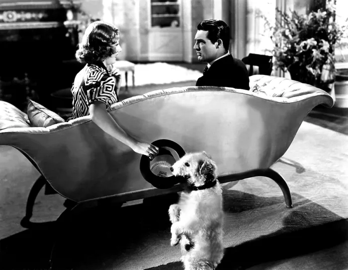 Framed Print : THE AWFUL TRUTH, Irene Dunne, Asta, Cary Grant, 1937 Framed Print : THE AWFUL TRUTH, Irene Dunne, Asta, Cary Grant, 1937