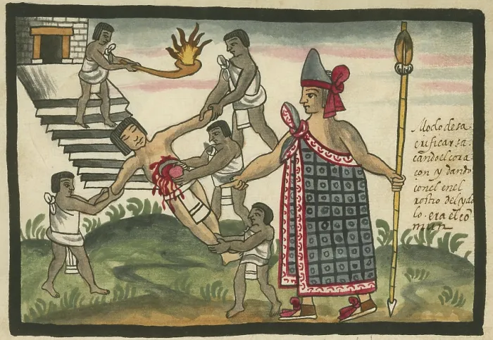 Framed Print : Aztec human sacrifice, in which a beating human heart was removed, for placement on the face of an idol (not shown) on a pyramid. A priest presides over the sacrifice Framed Print : Aztec human sacrifice, in which a beating human heart was removed, for placement on the face of an idol (not shown) on a pyramid. A priest presides over the sacrifice