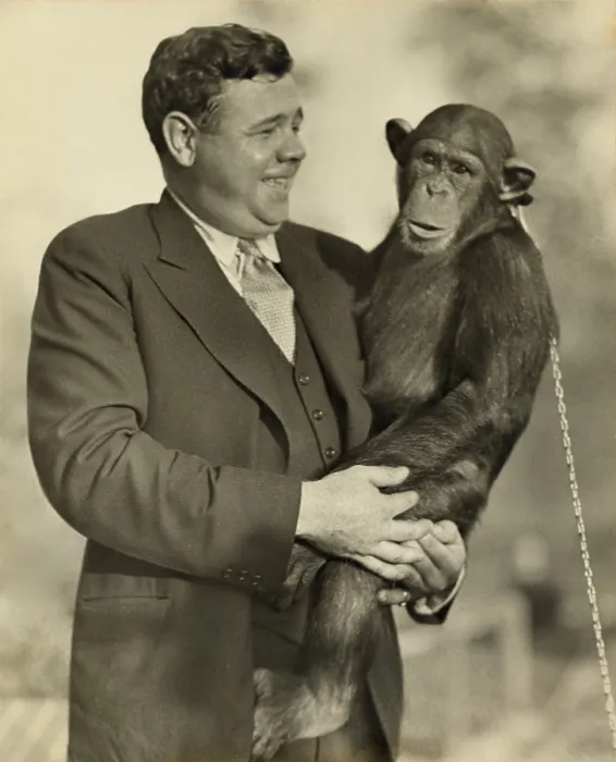 Framed Print : Babe Ruth (1895-1948), holding Mike, a chimpanzee at the St. Louis Zoological Park. Oct. 10, 1928 Framed Print : Babe Ruth (1895-1948), holding Mike, a chimpanzee at the St. Louis Zoological Park. Oct. 10, 1928