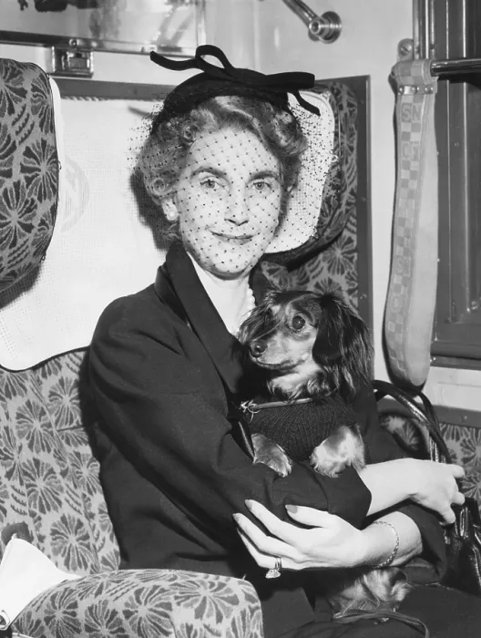 Framed Print : Barbara Hutton leaves Paris by train on her journey to New York on the SS United States. She is traveling with a dwarf basset hound named CoCotte'. Nov. 10, 1953