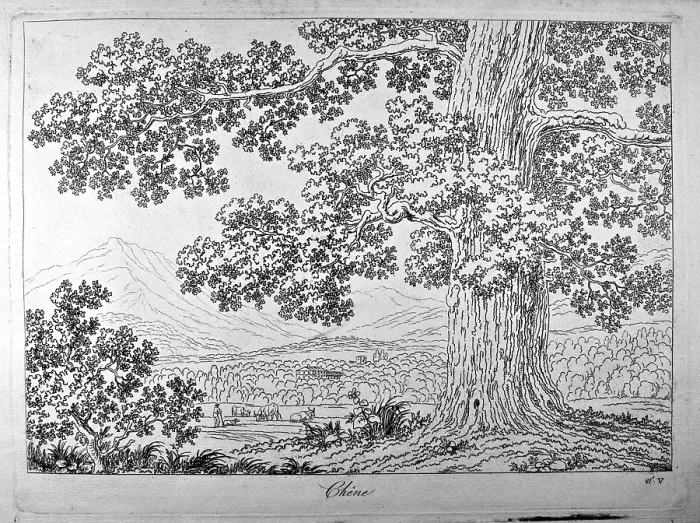 Framed Print : Basis for learning how to draw the natural landscape (Principes pour apprendre dessiner le paysage aprs nature), by Philippe Hackert, 1801 - 1802, 19th Century, etching - Italy Framed Print : Basis for learning how to draw the natural landscape (Principes pour apprendre dessiner le paysage aprs nature), by Philippe Hackert, 1801 - 1802, 19th Century, etching - Italy