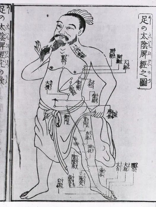 Framed Print : Bearded figure with acupuncture points and meridians labeled with Japanese characters. From a medical text published in Osaka, Japan, 1805 Framed Print : Bearded figure with acupuncture points and meridians labeled with Japanese characters. From a medical text published in Osaka, Japan, 1805
