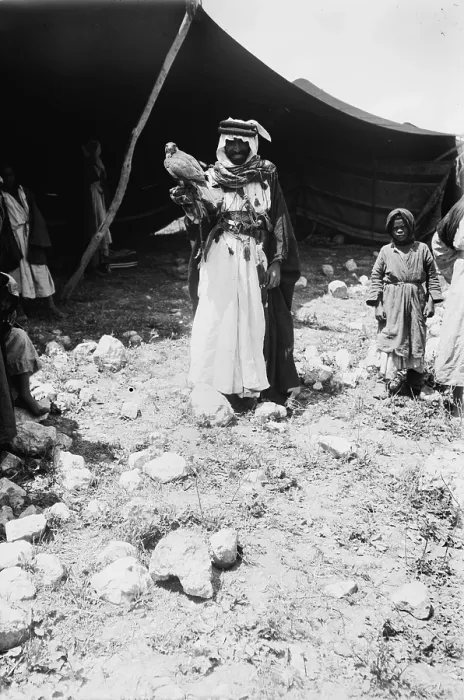 Framed Print : Bedouin hunter with his falcon, Jerusalem, photograph by American Colony Photo Department, circa 1898-1946 Framed Print : Bedouin hunter with his falcon, Jerusalem, photograph by American Colony Photo Department, circa 1898-1946