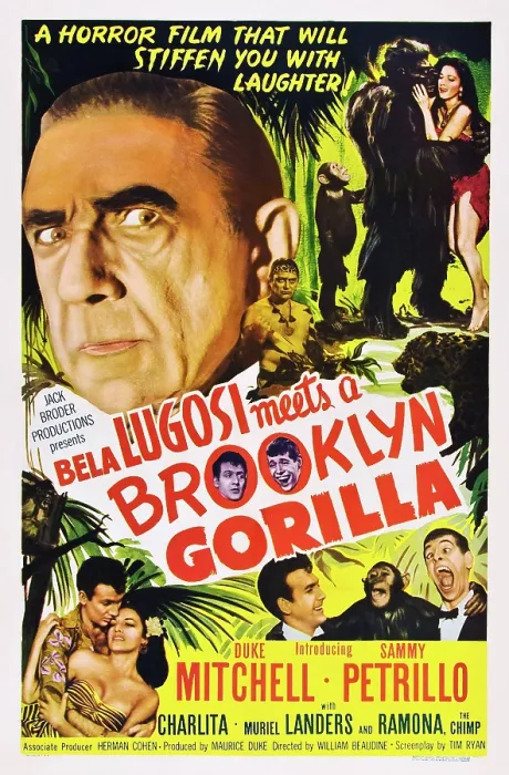 Framed Print : BELA LUGOSI MEETS A BROOKLYN GORILLA, Bela Lugosi, Duke Michell, Sammy Petrillo, Charlita, 1952