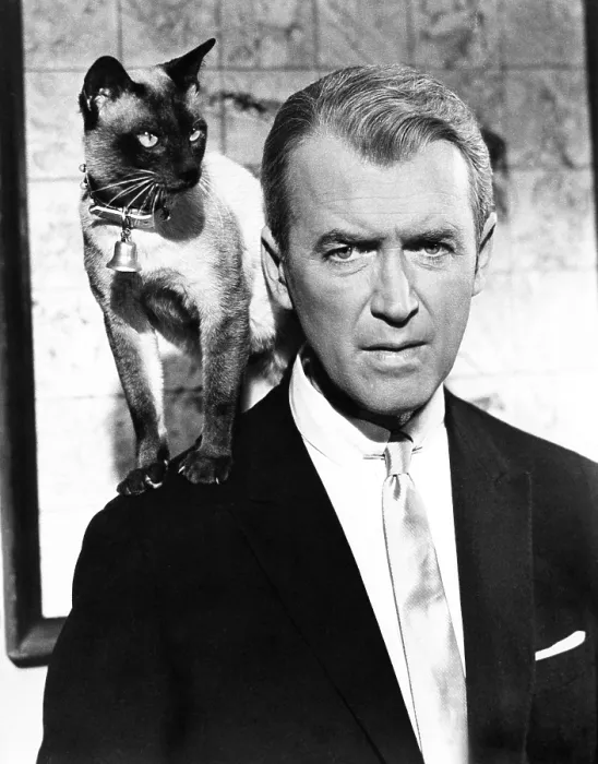 Framed Print : BELL, BOOK AND CANDLE, James Stewart, 1958 Framed Print : BELL, BOOK AND CANDLE, James Stewart, 1958