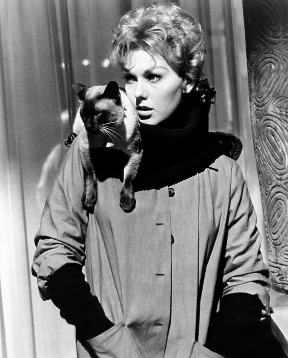 Framed Print : BELL, BOOK AND CANDLE, Kim Novak, 1958