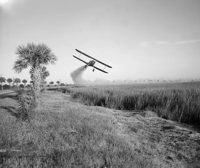 Framed Print : A bi-plane is spraying DDT insecticide during malaria control operations in Savannah, Georgia. Ca. 1950