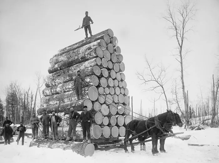 Framed Print : Big load of logs on a horse drawn sled in Michigan, ca. 1899