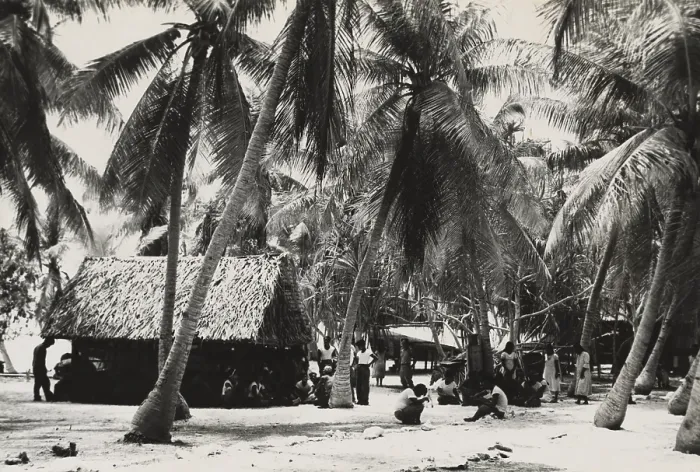 Framed Print : Bikini Islanders near thatched roof building shaded by palm trees, ca. March 1946. 167 islanders from 40 families were required to move to Rongerik Atoll by U.S