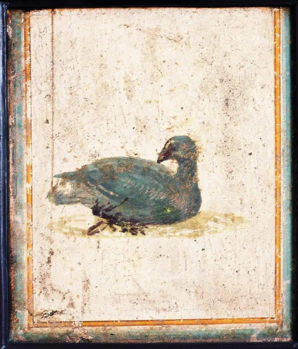 Framed Print : Bird, by unknown artist, 10-45, 1st Century A.D. ripped fresco, 24 x 20 cm - Italy, Campania, Naples, National Archaeological Museum, Room LXXVII, inv. 8726. Whole artwork view Framed Print : Bird, by unknown artist, 10-45, 1st Century A.D. ripped fresco, 24 x 20 cm - Italy, Campania, Naples, National Archaeological Museum, Room LXXVII, inv. 8726. Whole artwork view