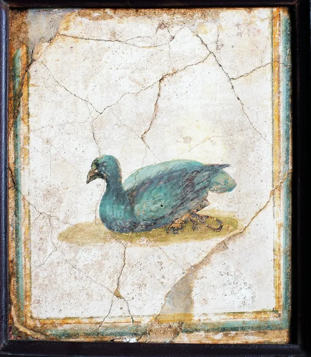 Framed Print : Bird, by unknown artist, 10-45, 1st Century A.D. ripped fresco, 26 x 22 cm - Italy, Campania, Naples, National Archaeological Museum, Room LXXVII, inv. 8740. Whole artwork view