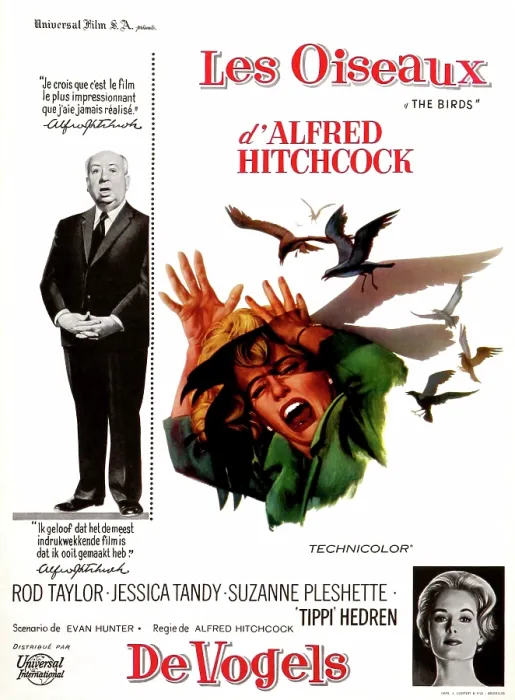 Framed Print : THE BIRDS, (aka ALFRED HITCHCOCK'S THE BIRDS'), on left: Alfred Hitchcock; center: Tippi Hedren; bottom right: Tippi Hedren; Belgian poster art, 1963 Framed Print : THE BIRDS, (aka ALFRED HITCHCOCK'S THE BIRDS'), on left: Alfred Hitchcock; center: Tippi Hedren; bottom right: Tippi Hedren; Belgian poster art, 1963