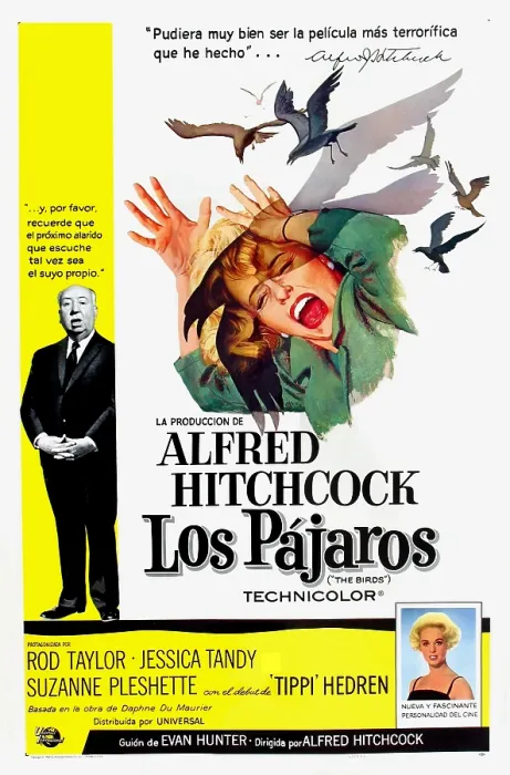 Framed Print : THE BIRDS, (aka LOS PAJAROS), Alfred Hitchcock, Tippi Hedren, 1963