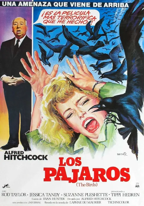 Framed Print : THE BIRDS, (aka LOS PAJAROS), l-r: Alfred Hitchcock, Tippi Hedren on Spanish poster art, 1963
