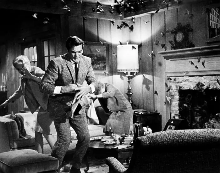 Framed Print : THE BIRDS, from left: Tippi Hedren, Rod Taylor, Jessica Tandy, 1963 thebirds-fsc19(thebirds-fsc19)