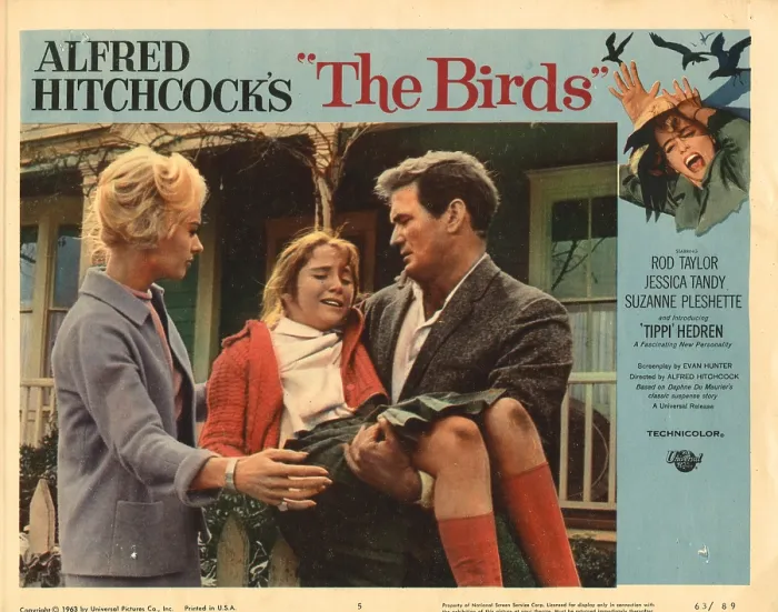 Framed Print : THE BIRDS, LOBBYCARD, from left: Tippi Hedren, Rod Taylor, 1963