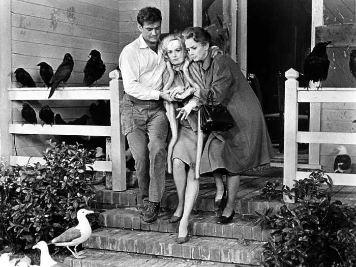Framed Print : THE BIRDS, Rod Taylor, Tippi Hedren, Jessica Tandy, 1963