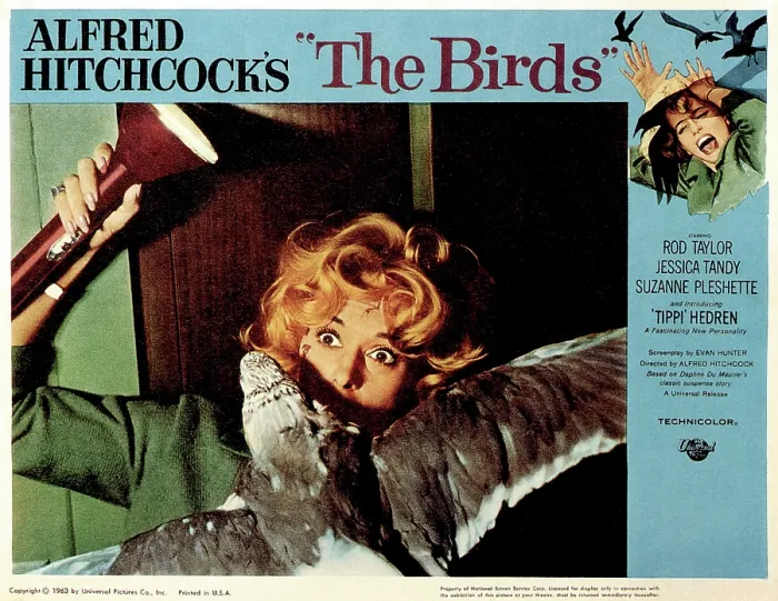Framed Print : THE BIRDS, Tippi Hedren, 1963