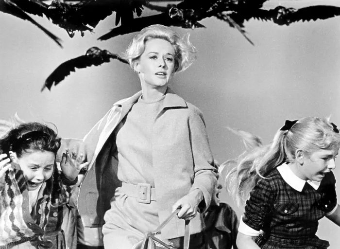 Framed Print : THE BIRDS, Tippi Hedren, 1963