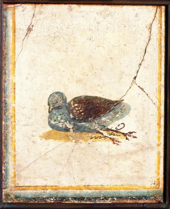 Framed Print : Birds, by unknown artist, 10-45, 1st Century A.D. ripped fresco, 26 x 21 cm - Italy, Campania, Naples, National Archaeological Museum, Room LXXVII, inv. 8728. Whole artwork view