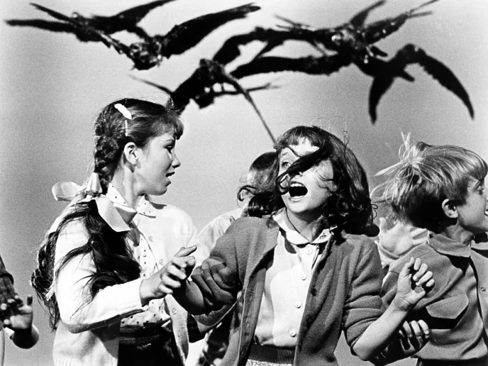 Framed Print : THE BIRDS, Veronica Cartwright, 1963 Framed Print : THE BIRDS, Veronica Cartwright, 1963