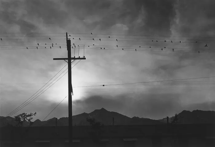 Framed Print : Birds on wire, Evening, Manzanar Relocation Center, 1943 photograph by Ansel Adams