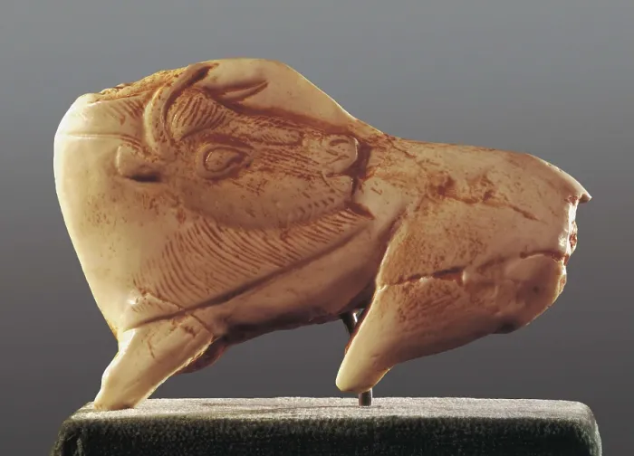 Framed Print : Bison turning the head. 15th-10th mil. BC. Copy after an original found in the Madeleine Cave, Dordogne. Upper Paleolithic. Magdalenian. Sculpture on ivory. SPAIN. Barcelona Framed Print : Bison turning the head. 15th-10th mil. BC. Copy after an original found in the Madeleine Cave, Dordogne. Upper Paleolithic. Magdalenian. Sculpture on ivory. SPAIN. Barcelona