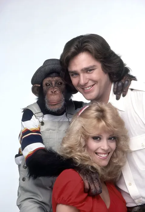 Framed Print : B.J. & THE BEAR, clockwise: Sam the Chimp, Greg Evigan, Judy Landers, (1981), 1978-1981 Framed Print : B.J. & THE BEAR, clockwise: Sam the Chimp, Greg Evigan, Judy Landers, (1981), 1978-1981
