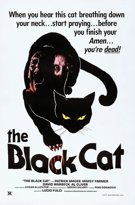 Framed Print : THE BLACK CAT, (aka BLACK CAT, aka GATTO NERO), US poster, 1981. Italian International Film / courtesy Everett Collection
