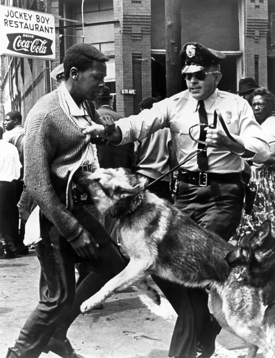 Framed Print : A Black man is attacked by a policeman and dog, 1963.. Courtesy: CSU Archives  /  Everett Collection