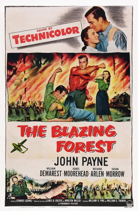 Framed Print : THE BLAZING FOREST, poster art, top l-r: Susan Morrow, John Payne, center l-r: Richard Arlen, John Payne, Susan Morrow, bottom right: William Demarest, 1952