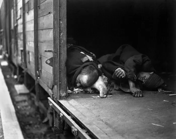 Framed Print : Three bodies of prisoners shot by Nazis in a boxcar by SS troops at Seeshaupt, Germany. The prisoners attempted to escape when the train came under an air attack by U.S Framed Print : Three bodies of prisoners shot by Nazis in a boxcar by SS troops at Seeshaupt, Germany. The prisoners attempted to escape when the train came under an air attack by U.S