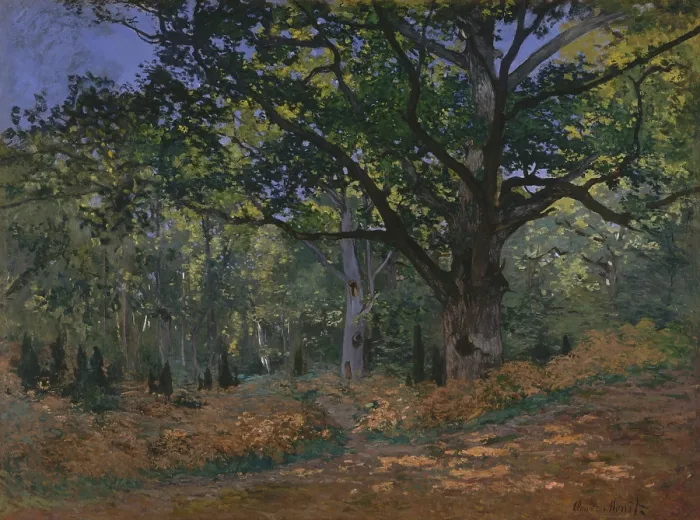 Framed Print : The Bodmer Oak, Fontainebleau Forest, by Claude Monet, 1865, French impressionist oil painting