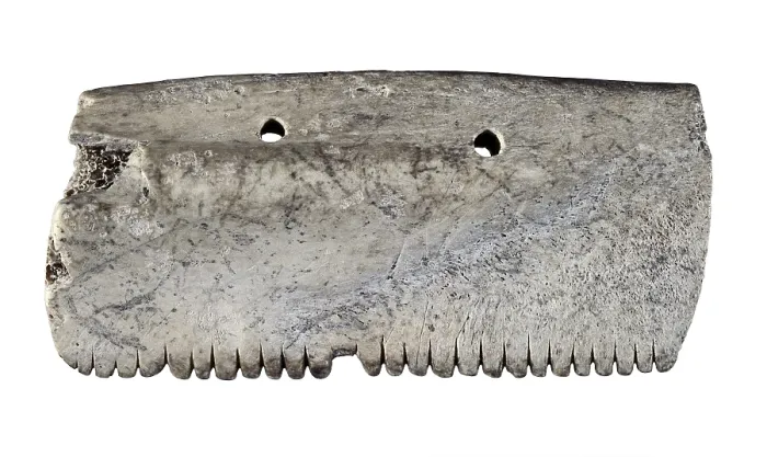 Framed Print : Bone comb. Neolithic art. Decorative Arts. SPAIN. Vic. Vic Episcopal Museum. Proc: SPAIN. CATALONIA. Vilanova de Sau. Cave of Les Grioteres. - P
