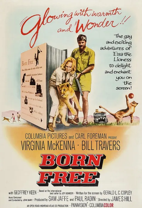 Framed Print : BORN FREE, US poster art, from left: Virginia McKenna, Elsa the Lion, Bill Travers, 1966 Framed Print : BORN FREE, US poster art, from left: Virginia McKenna, Elsa the Lion, Bill Travers, 1966