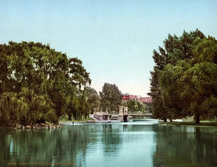 Framed Print : Boston. Lake in the Public Garden, Boston. color photochrom, c1900 Framed Print : Boston. Lake in the Public Garden, Boston. color photochrom, c1900