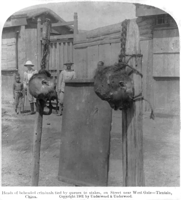 Framed Print : Boxer Rebellion, heads of beheaded criminals tied by queues to stakes on street near West Gate, Tientsin, China, August 21, 1901