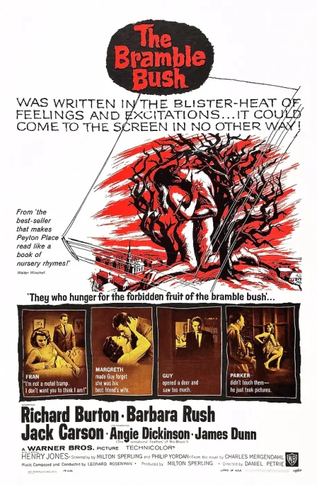 Framed Print : THE BRAMBLE BUSH, US poster art, left insert: Angie Dickinson, Richard Burton; second insert: Barbara Rush