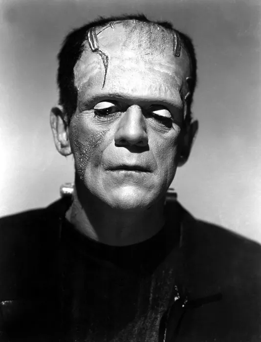 Framed Print : BRIDE OF FRANKENSTEIN, Boris Karloff, 1935 Framed Print : BRIDE OF FRANKENSTEIN, Boris Karloff, 1935