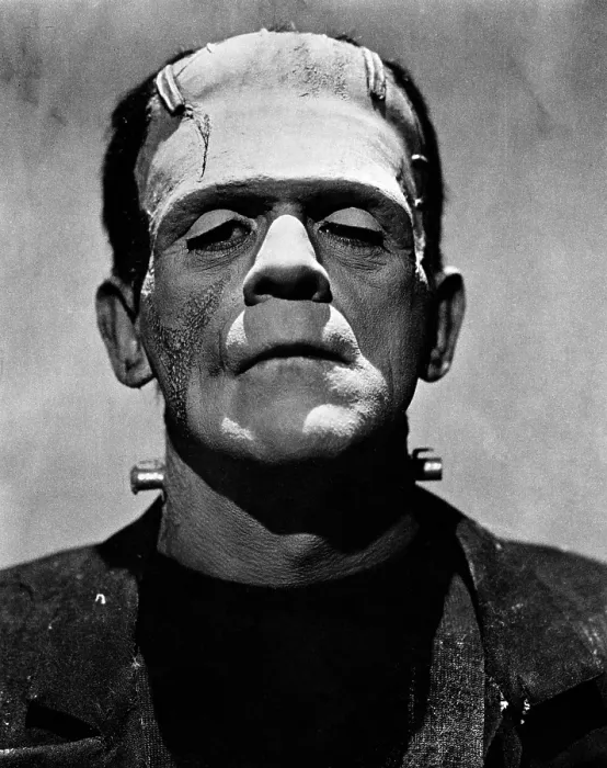 Framed Print : BRIDE OF FRANKENSTEIN, Boris Karloff, 1935